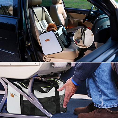 Cat Carrier Portable Foldable Dog Pet Carrier (17.5"L x 11.0"W x 11.0"H / Grey)