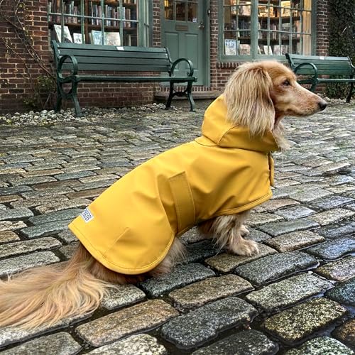 Dachshund Raincoat (Small)