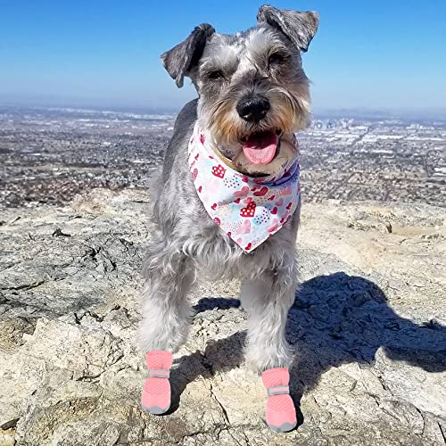 Dog Shoes for Small Dogs Hot Pavement Puppy Dog Boots & Paw Protectors (Pink / size 4: 1.89"x1.51"(L*W))
