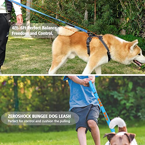 Heavy Duty Bungee Dog Leash with Locking Carabiner for Large Dogs (Navy Blue)