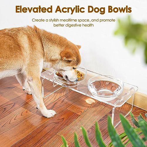 Elevated Dog Bowls for Medium Dogs (Medium Dogs-5.5" Height)