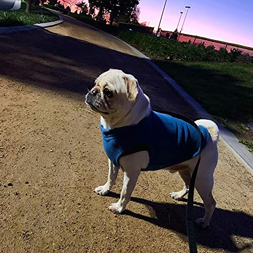 Stretch Fleece Vest Dog Sweater (Medium Length (11.5") / Steel Blue)