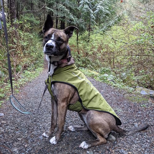 Dog Raincoat Adjustable Waterproof Reflective Rain Jacket for Small Medium Large Dogs (L Chest 32"-40" / Lime Yellow)