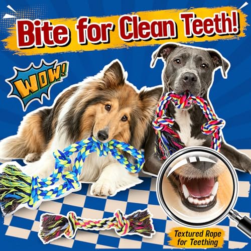 Tough & Strong Dog Toy for Aggressive Chewers (Regular color)