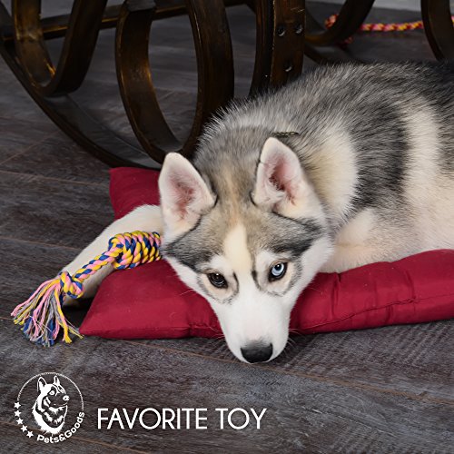 Dog Rope Chew Toys