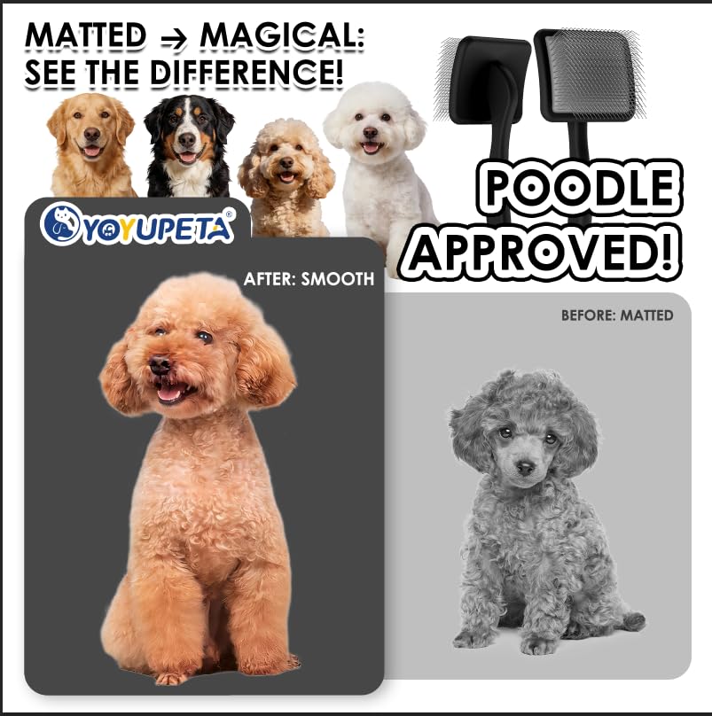 Large Dog 3 in 1 Grooming Kit (Black)
