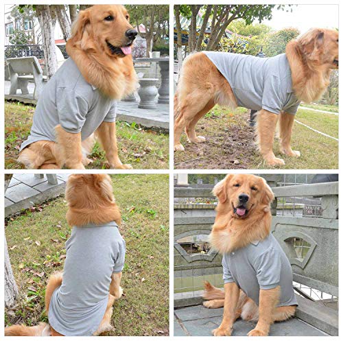 Basic Dog Polo Shirts Premium Cotton (M (-12lbs) / Gray)