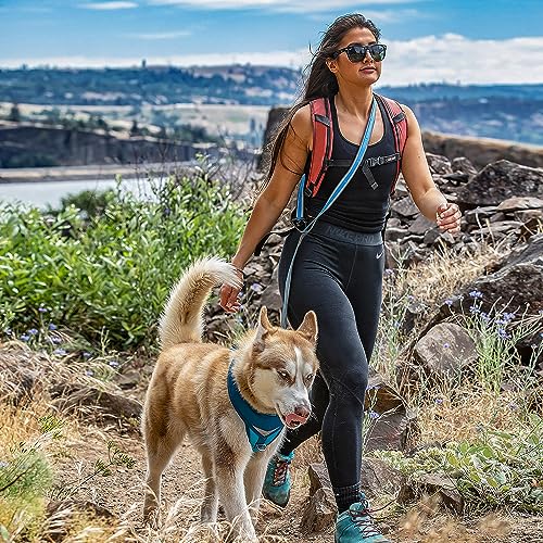 Quantum 6 in 1 Dog Leash (Blue)