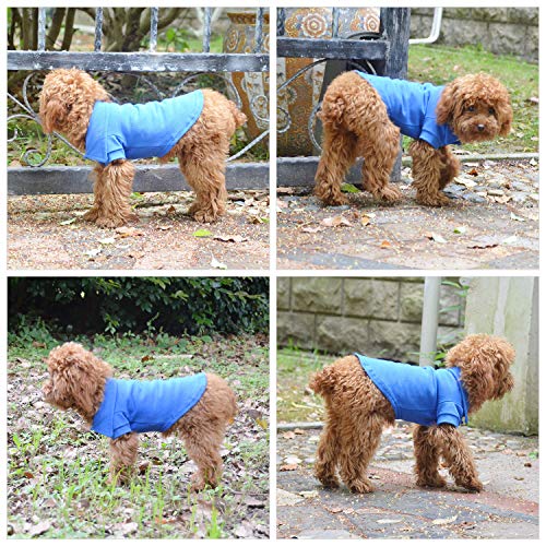 Basic Dog Polo Shirts Premium Cotton (XXL (-55lbs) / Blue)
