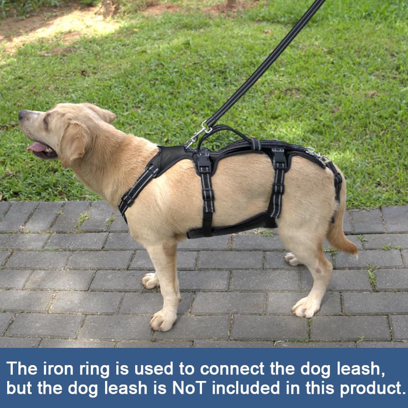 Dog Lift Harness (M / Black)