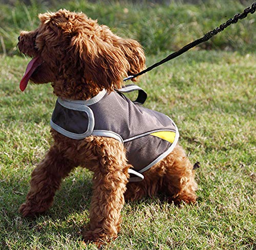 Dog Anxiety Jacket (Gery / Small)