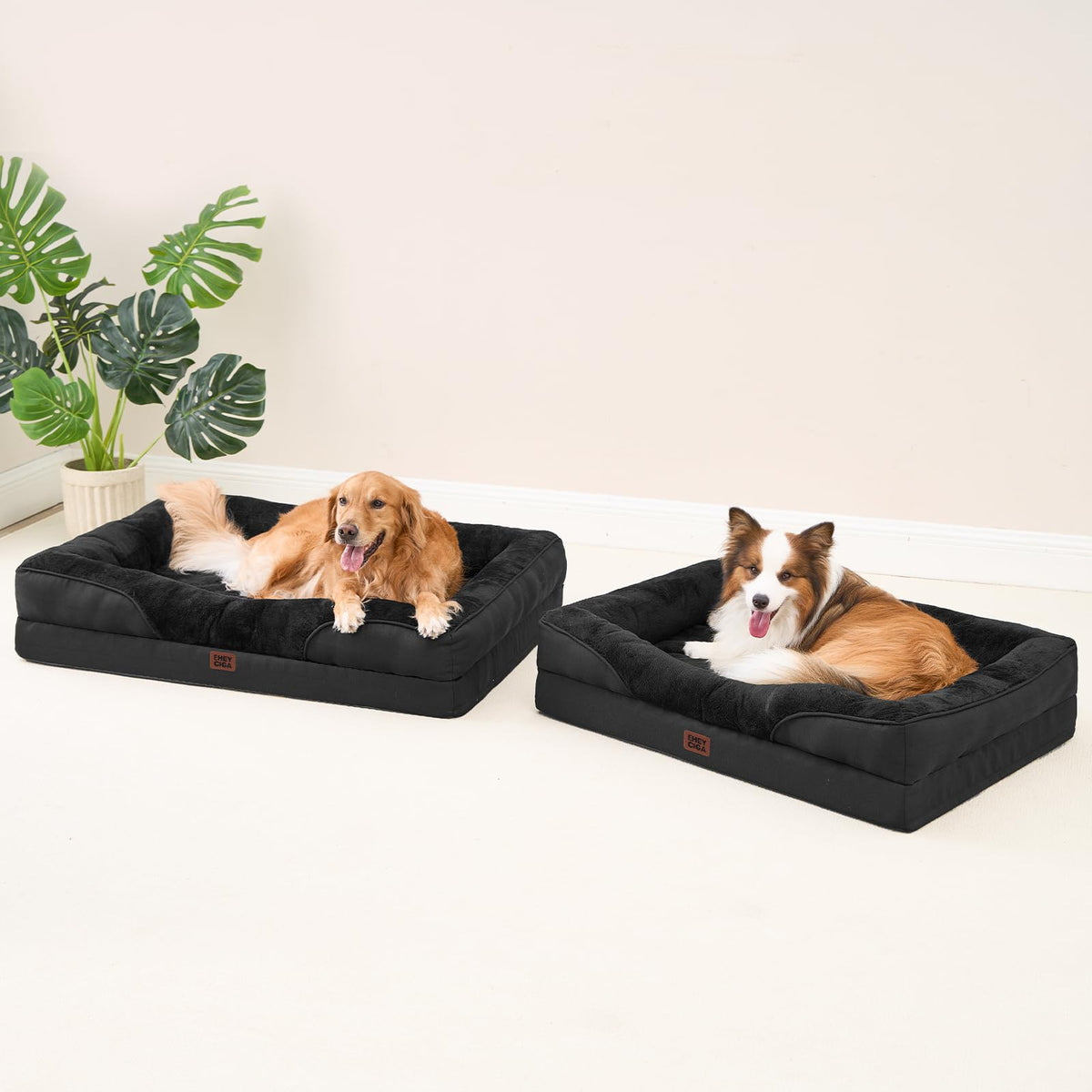 Orthopedic XL Dog Bed for Large Dog (Black / 48x35x7.5)