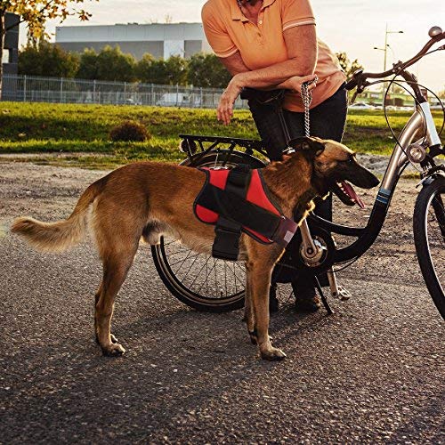 Dog Harness No (Large (Pack of 1) / Red)