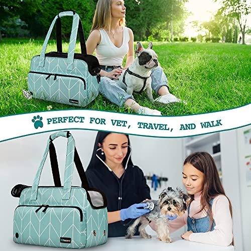 Small Dog Purse Carrier (Chevron Teal)