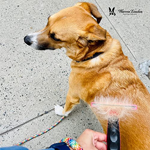 Deshedding Brush for Large Short Hair Dogs (Short Hair | Large)