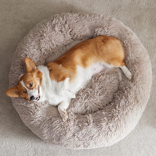 Large Round Calming Dog Bed Cat Bed for Comfy Sleep (45"L x 45"W x10"Th / Brown)