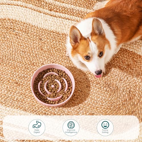 Ceramic Slow Feeder Dog Bowl (M - 1.5 Cups / Pink)