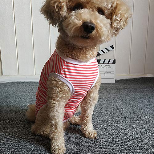 Dog’s Recovery Suit Post Surgery Shirt for Puppy (Medium / red white stripe)