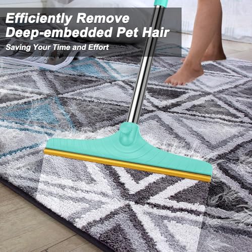 Carpet Rake for Pet Hair Removal (Blue)