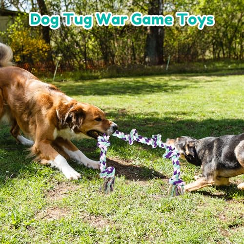 Dog Rope Toy 42In 6 Knots Indestructible Natural Cotton (Blue)