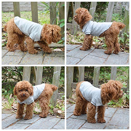 Basic Dog Polo Shirts Premium Cotton (XS (-6lbs) / Gray)