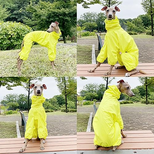 D Doggy Star Italian Greyhound Raincoat Waterproof Jacket Windbreaker Clothes Whippet for Dog (XL / Raincoat Yellow)