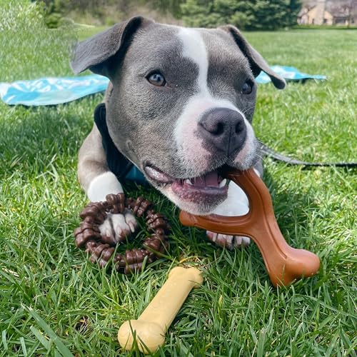 Power Chew Customer Favorites Dog Chew Toys (Small / Bundle)