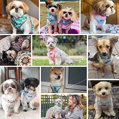Soft & Comfy Made Well Elegant Floral No Pull Mesh Puppy Dog Harness Vest in Sleek Black ((14" - 16") Chest Girth (Pack of 1) / Sleek Black)