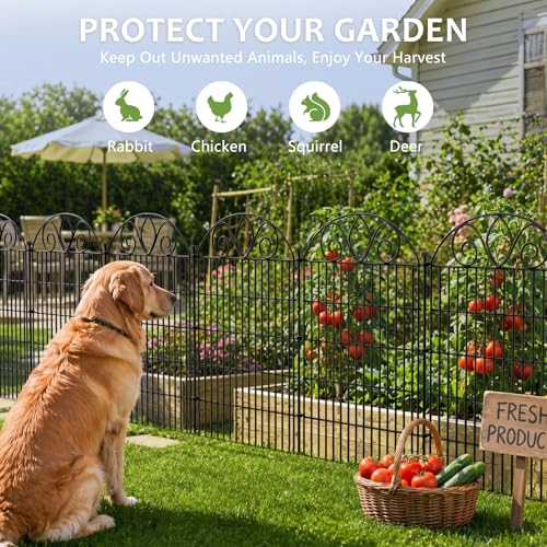 No Dig Garden Fence Outdoor for Yard (44 in(H) X 11.8 ft(L))