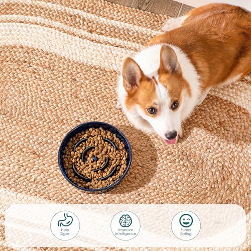 Slow Feeder Dog Bowl (M - 1.5 Cups / Blue)