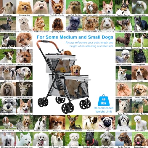Double Pet Stroller for 2 Dogs & Cats (Gray)