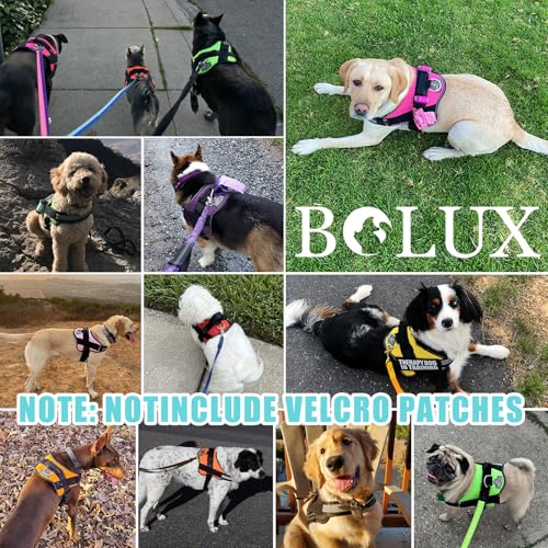 Dog Harness No (Medium (Pack of 1) / BabyBlue)