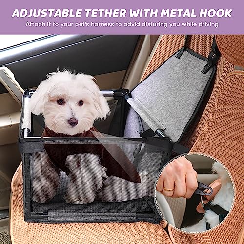 Small Dog Car Seat