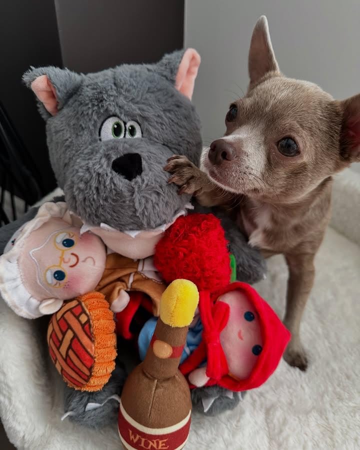 Fairy Tale Squeaky Dog Toys (Little Red)
