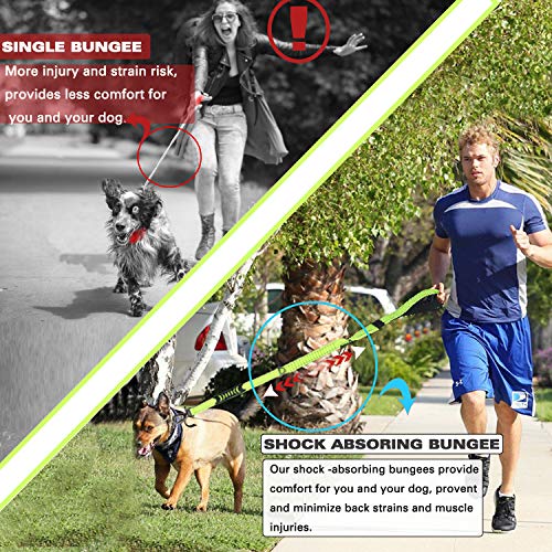 Heavy Duty Bungee Dog Leash with Locking Carabiner for Large Dogs (Fluorescent Green)