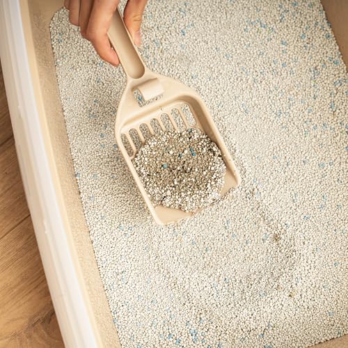 Large Cat Litter Box (Open Top / Beige)