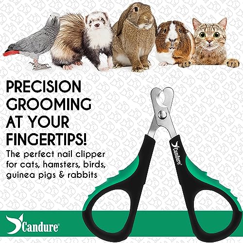 Cat Nail Clippers for Indoor Cats (Dark Green / Small pets)