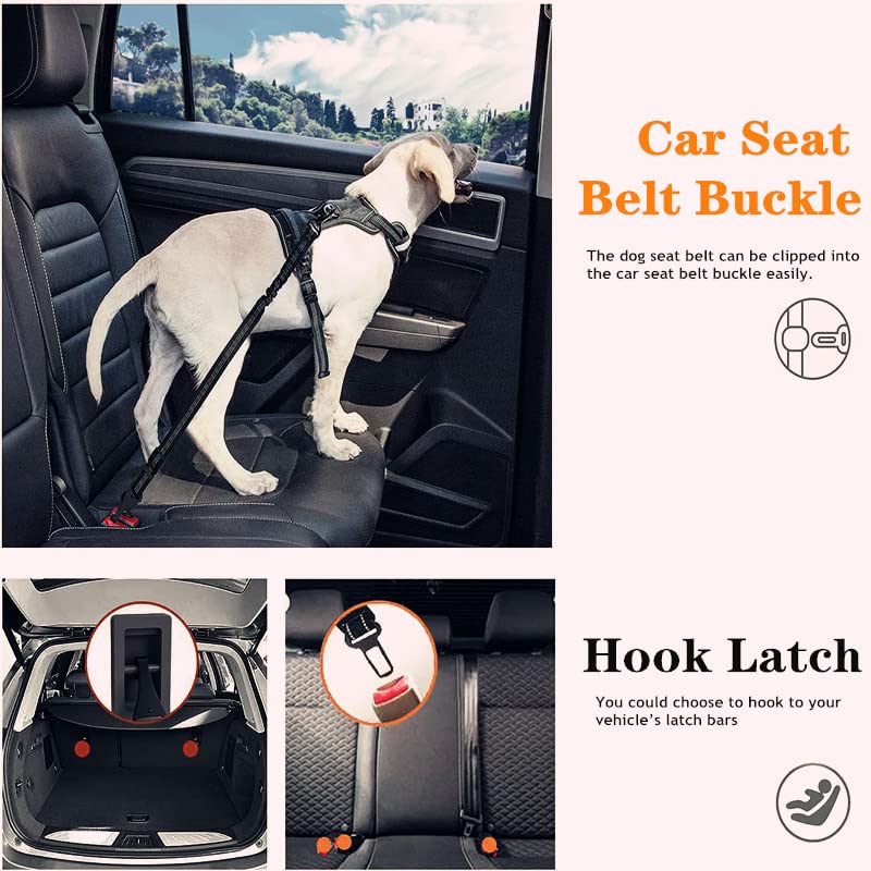 Dog Seat Belt