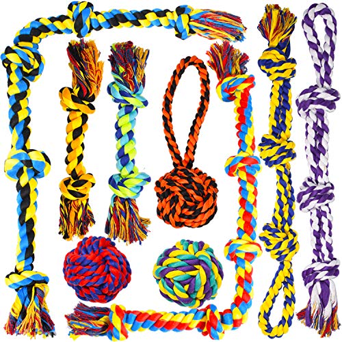 Large Tough Chew Toys for Aggressive Chewers (9 Packs / Large)