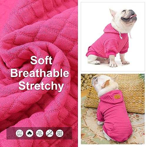 Dog Hoodies Sweater for Small Dogs (Rose Pink / XS (Back: 10",Chest: 14", Neck: 8.7"))
