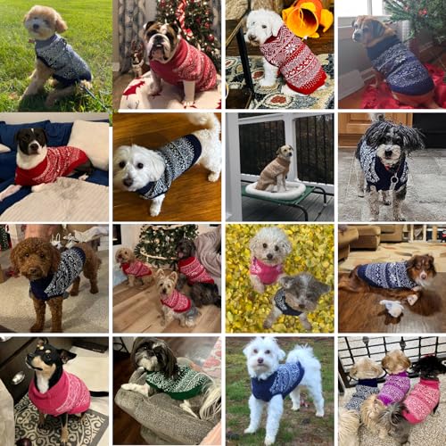 Dog Sweater Argyle (XX-Small / Cream)