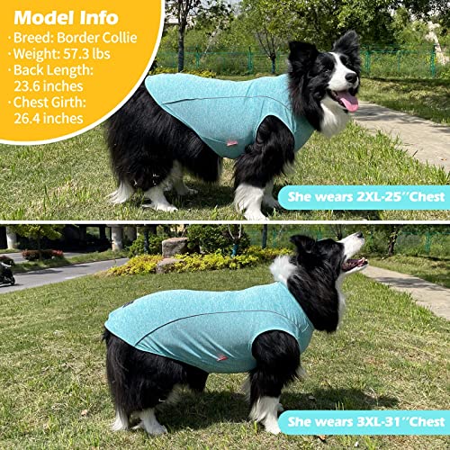 Reflective Dog Shirt (XXX-Large (55-75lbs) / 5#Lake Blue)