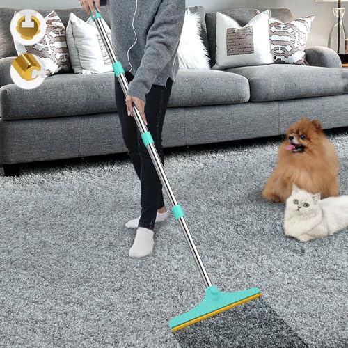 Carpet Rake for Pet Hair Removal (Blue)