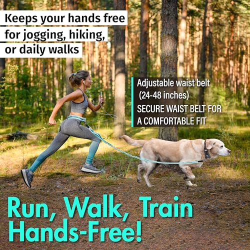 Hands Free Dog Leash (Aqua Blue)