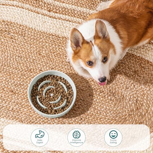 Slow Feeder Dog Bowl (M - 1.5 Cups / Grayish Cyan)