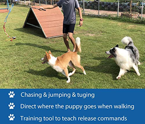 Interactive Flirt Pole Toy for Dogs Chase