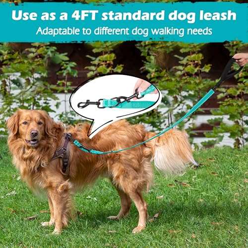 Two Point Control Dog Leash (Turquoise)