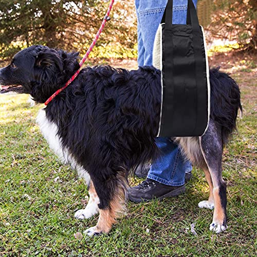 20 150lb Dog Sling for Large Dogs Hind Leg Support (Black)