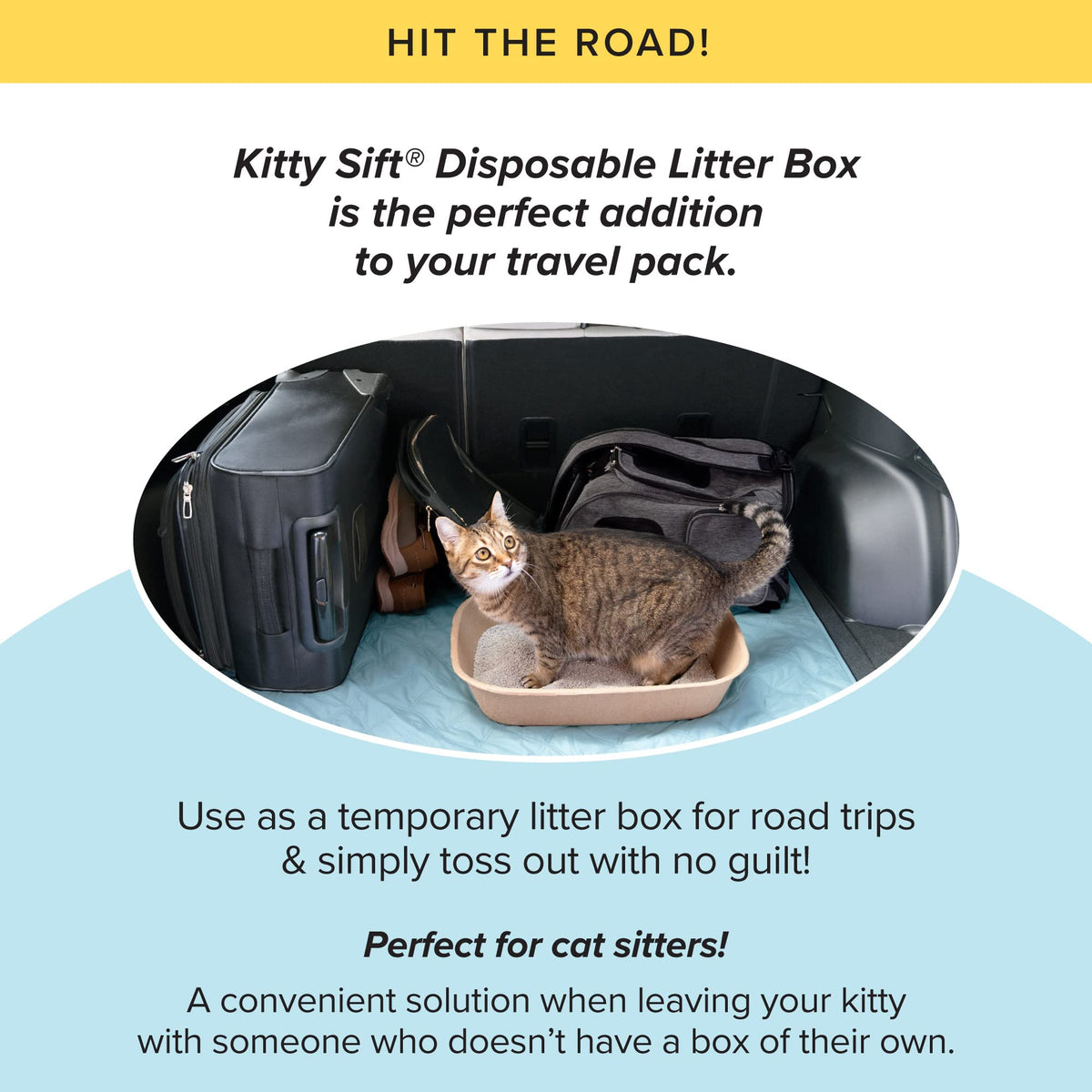 Disposable Cat Litter Box Jumbo (Litter Box Only / Jumbo (6-Piece Set))