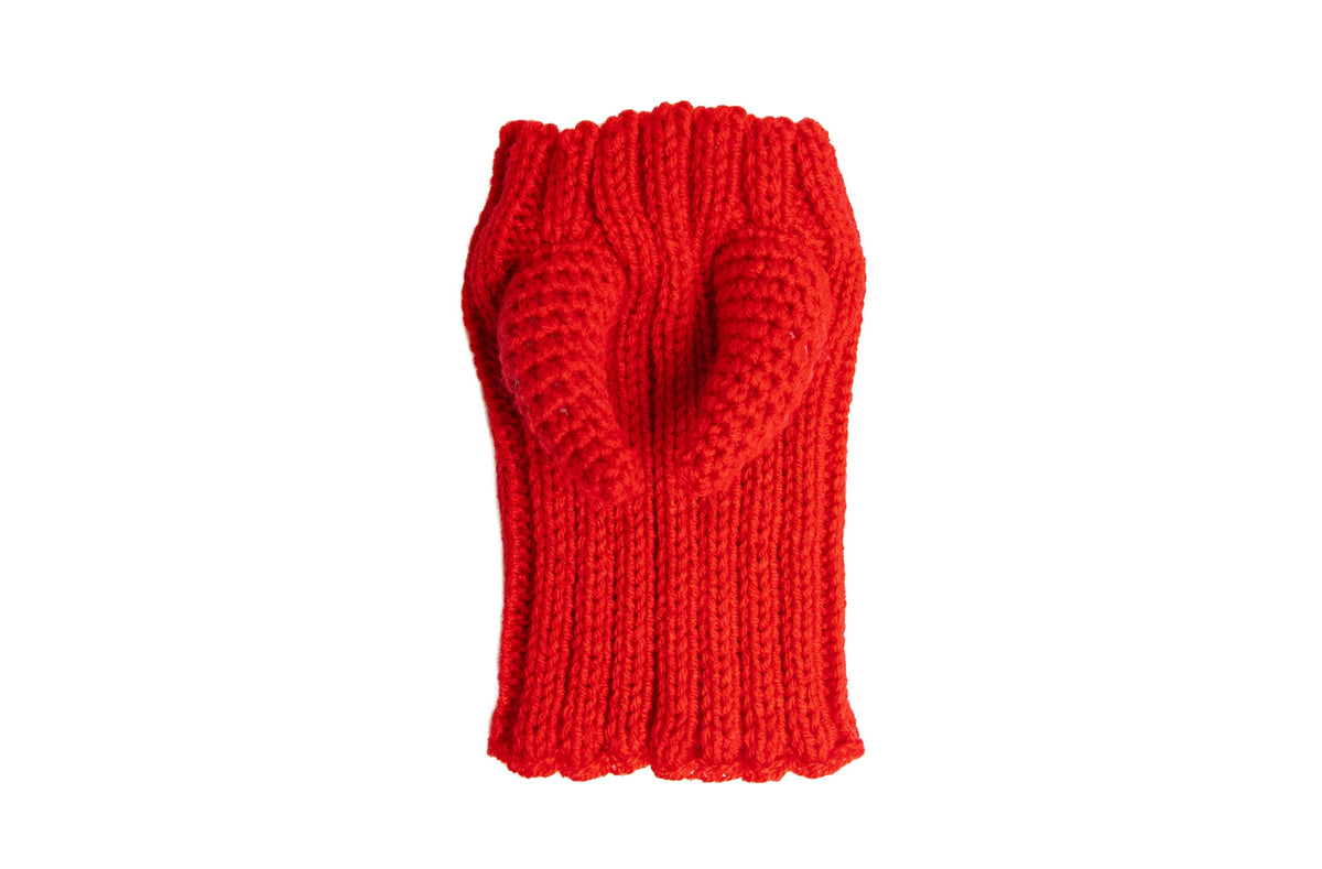 Red Devil Dog Costume (Devil / Small)
